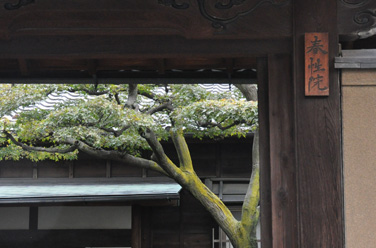 東叡山 春性院